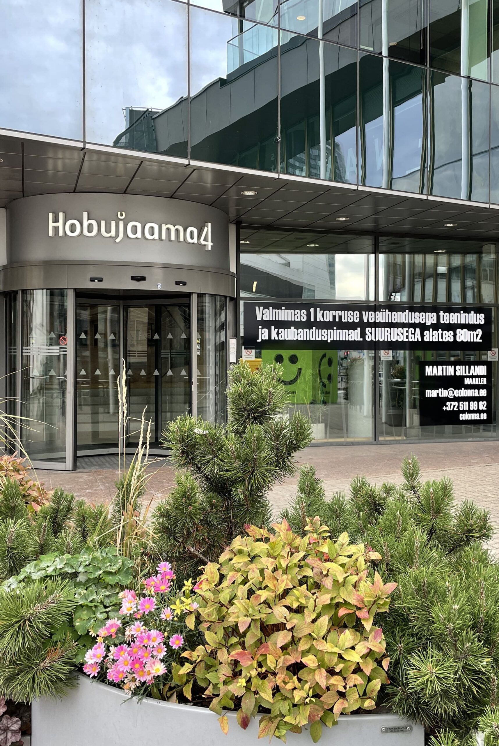 Hobujaama 4 välivaade